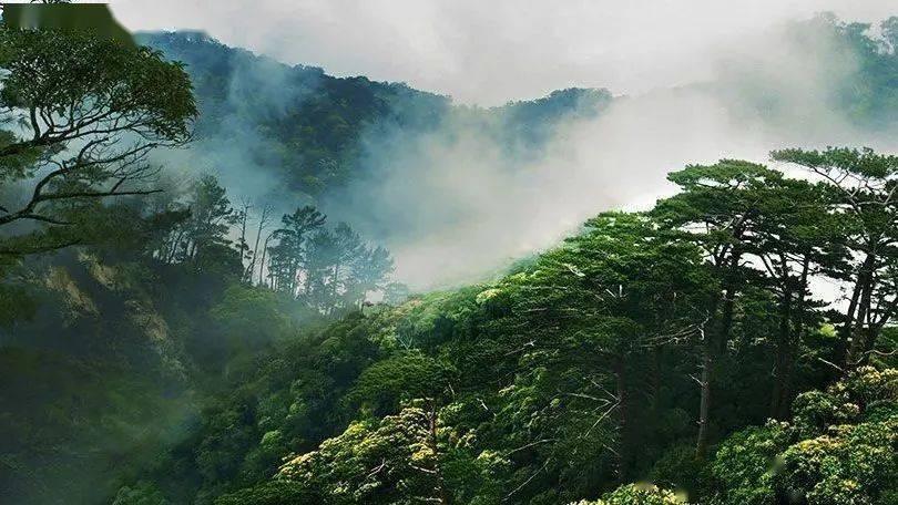 热康板：满足消费者对高环保、高健康板材的需求
